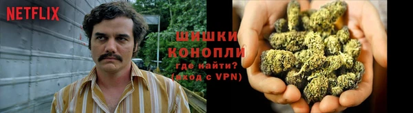 каннабис Беломорск