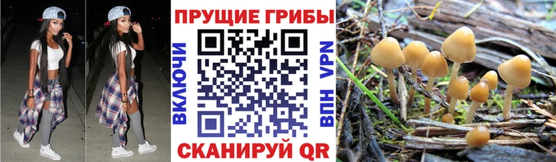 ссылка на мегу как зайти  Сердобск  Псилоцибиновые грибы MAGIC MUSHROOMS 